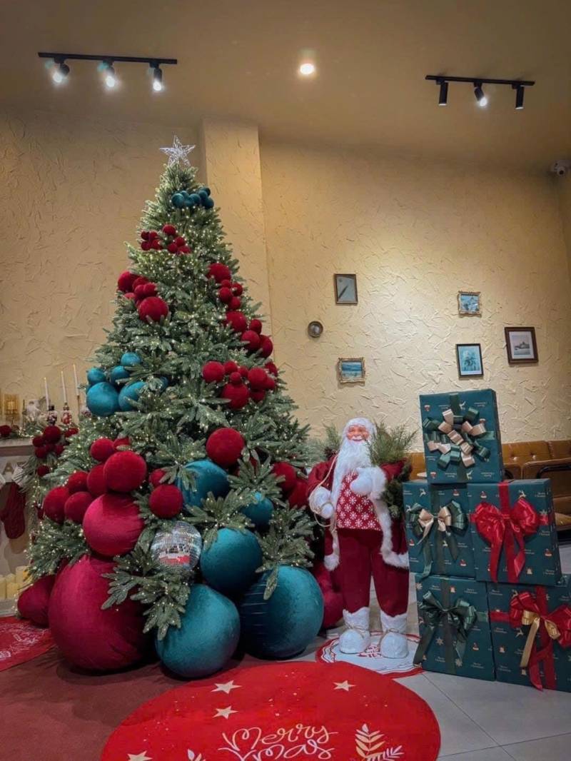 Cho Thuê Cây Thông Noel Tại Bình Phước. Ảnh 3